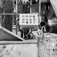 Histoire Stanley Steele